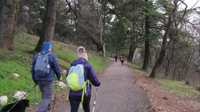 Persone che camminano nel bosco