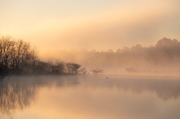A heavy mist drifts over a pond at sunrise.