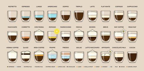 Guide to the different types of coffee drinks. Infographic on types of coffee, proportions and their preparation coffee drinks. Cafe menu. Vector illustration.