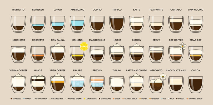 Guide to the different types of coffee drinks. Infographic on types of coffee, proportions and their preparation coffee drinks. Cafe menu. Vector illustration.