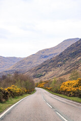 A Peaceful Drive Through Scotland’s Majestic Highlands
