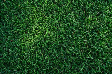 Lush green artificial turf providing a uniform and vibrant grass texture for sports fields, landscaping, or creative projects. This high-quality synthetic surface offers a maintenance-free lawn altern