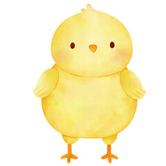 Chick