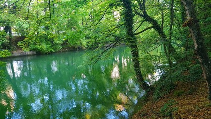 bonita foto de el rio isar en medio de el bosque, bayern alemania 