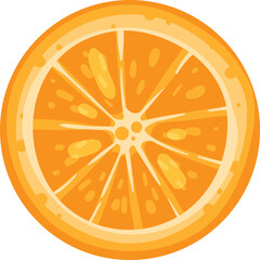 Close-up cross section of a ripe orange slice. Detailed and juicy citrus fruit illustration. Healthy food and vitamin C concept vector illustration.