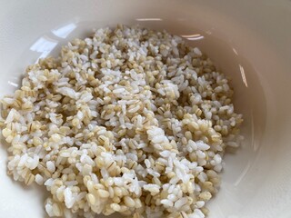 한국음식 보리밥