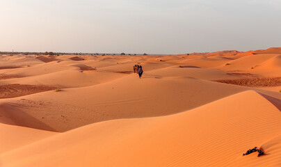 Fototapeta na wymiar Camel caravan in the desert at sunrise - Sahara, Morrocco