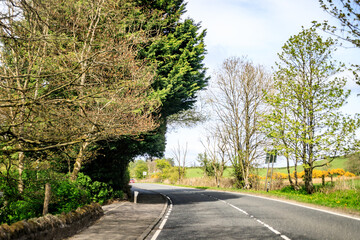 A Peaceful Country Road Surrounded by Nature