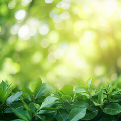 Naklejka premium Nature view of green leaf on blurred greenery