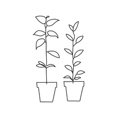 Plant growth tree continuous one line drawing  outline vector illustration
