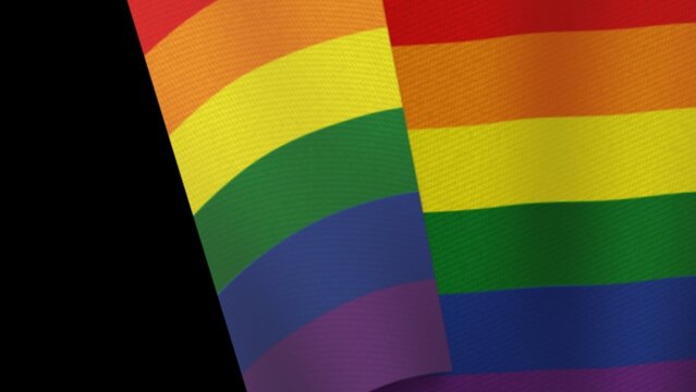 LGBTQIA+ Flag Transition