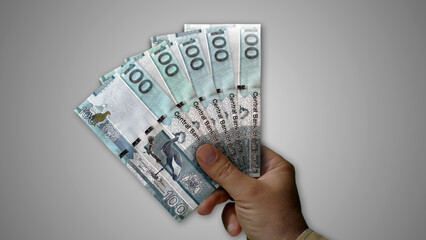 Gambia dalasi growing pile of money in hand concept 3d illustration