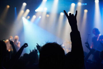 Nightclub, festival and audience with rock or silhouette for music, band and concert with spotlight, dancing or show. Disco, live event and performance with entertainment, crowd and rear view gesture