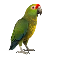 Raamstickers Full body portrait of a green parrot isolated on transparent background © The Stock Guy
