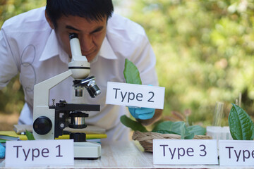 Science experiment by using microscope to inspect  type of leaves. Concept, science subject,...
