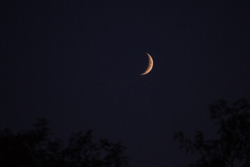 Natural satellite of the earth. Young crescent moon on a clear sky at the end of the day in the...