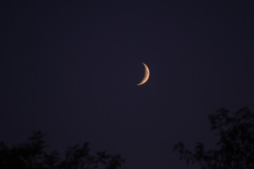 Natural satellite of the earth. Young crescent moon on a clear sky at the end of the day in the summer