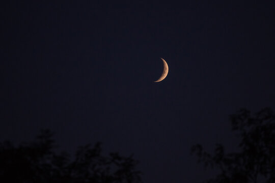 Natural satellite of the earth. Young crescent moon on a clear sky at the end of the day in the summer