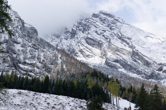 Snow-covered mountain peak rising above an alpine forest