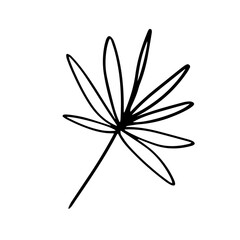 floral hand drawn element