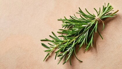  a close up of a sprig of rosemary on a piece of parchment paper with a sprig of rosemary on top of the top of the sprig.