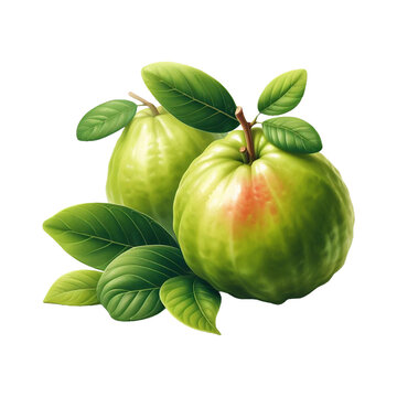 Fresh guava fruits with leaves isolated and sliced Guava Fruit on a transparent background Ai generative