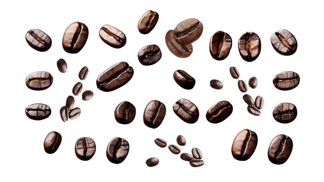 Coffee beans are isolated on a transparent background. © Anna