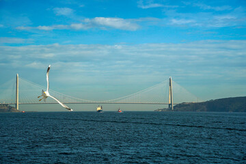 Fototapeta premium Yavuz Sultan Selim bridge in front of black sea view from Istanbul Bosphorus cruise
