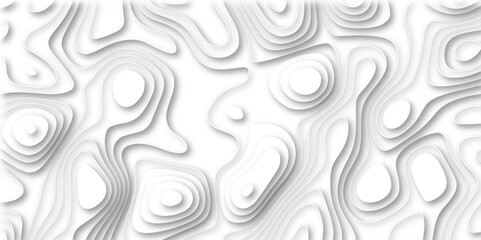 : white paper and relief wave and cruve line paper cut background. soft white color seamless pattern, vector illustration, multi layer cutout banner design. topo counter map in 3d view.