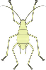 カラー昆虫単品アイコン　アブラムシ