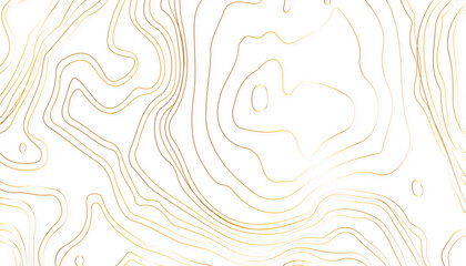 Topographic map lines background. Abstract vector illustration. - obrazy, fototapety, plakaty