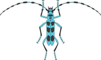 カラー昆虫単品アイコン　ルリボシカミキリ