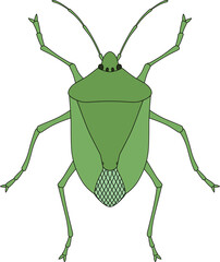 カラー昆虫単品アイコン　カメムシ