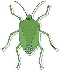 ステッカー昆虫単品アイコン　カメムシ