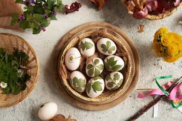Easter eggs ready to be dyed with onion peels with a pattern of fresh leaves