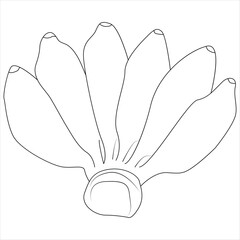 
Continuous one line banana drawing out line vector illustration design