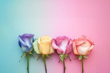 A lot of beautiful bright multi-colored roses of different colors. Colorful roses. pastel flowers, roses. Bunch of colorful roses. Beautiful bouquet of roses in variety of colors. Seasonal flower card