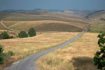 Narrow road in the dry yellowish hills of Zlatibor region, Serbia