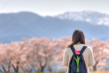 桜並木を眺め、春の訪れを喜ぶチューリップを背負った少女。
