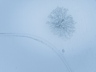 Aerial view of single snow covered tree in winter.