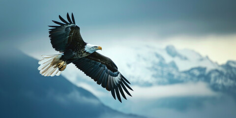 Obraz premium Eagle flying above the sky