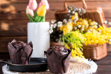 Obraz na płótnie Canvas Cupcake muffin with chocolate on a white background with a bouquet of mimosa. Congratulations on International Women's Day, postcard