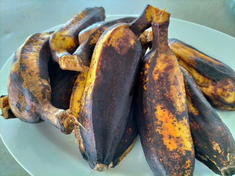 Several boiled Saba bananas are placed on white plate. Asians like to eat boiled bananas with hot beverages for breakfast.
