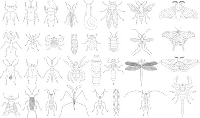 標本風線画昆虫アイコンセット - obrazy, fototapety, plakaty