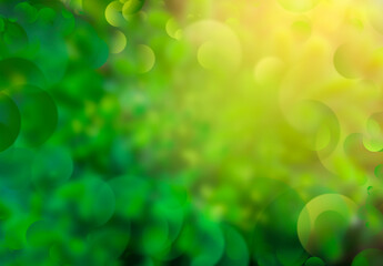 abstract green bokeh background with sun light and blur bokeh