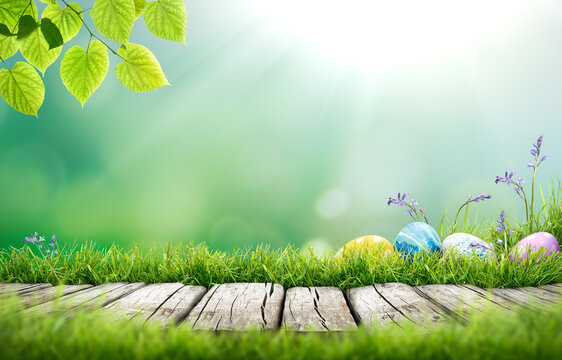 Painted easter eggs in the grass celebrating a Happy Easter in spring with a green grass meadow, tree leaves and bright sunlit cool background & rustic wooden bench to display products.