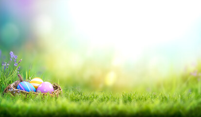 Three painted easter eggs in a birds nest celebrating a Happy Easter on a spring day with a green grass meadow and blurred grass foreground and bright sunlight background with copy space. - obrazy, fototapety, plakaty