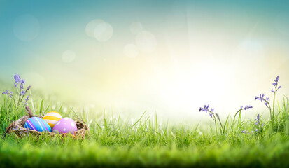 Three painted easter eggs in a birds nest celebrating a Happy Easter on a spring day with a green grass meadow with bluebells and blurred grass foreground and bright sunlight background