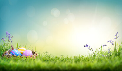 Three painted easter eggs in a birds nest celebrating a Happy Easter on a spring day with a green grass meadow with bluebells and blurred grass foreground and bright sunlight background