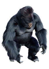 3D Rendering Black Gorilla Ape on White